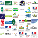 Adhérents au 1er janvier 2020